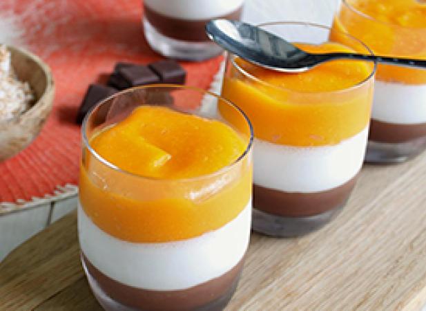 Pana cotta lait de coco mangue et chocolat noir bio